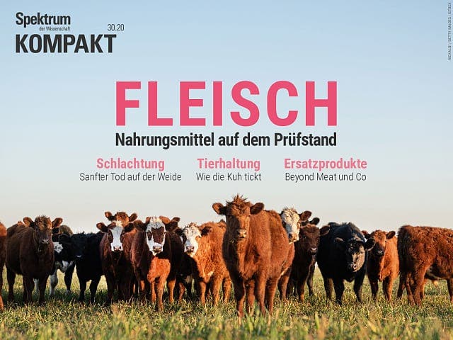  Fleisch – Nahrungsmittel auf dem Prüfstand