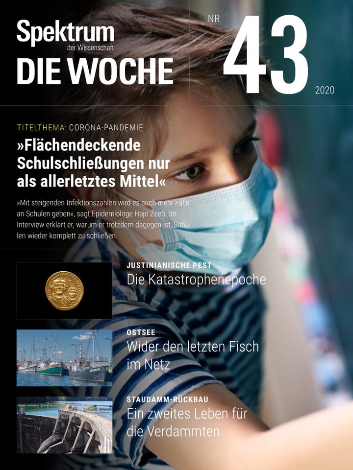 Spektrum – Die Woche – 43/2020 – Flächendeckende Schulschließungen nur als allerletztes Mittel