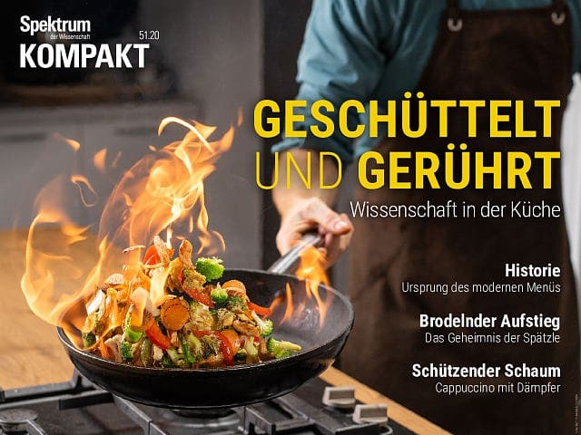  Geschüttelt und gerührt – Wissenschaft in der Küche