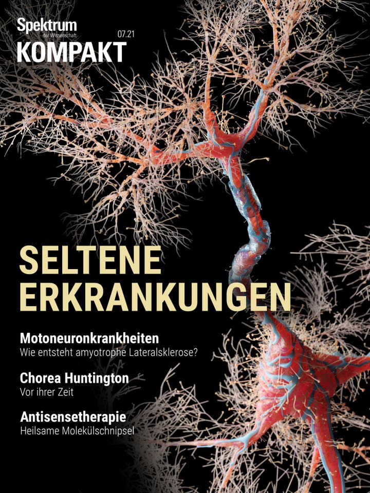Spektrum Kompakt - 7/2021 - Seltene Erkrankungen