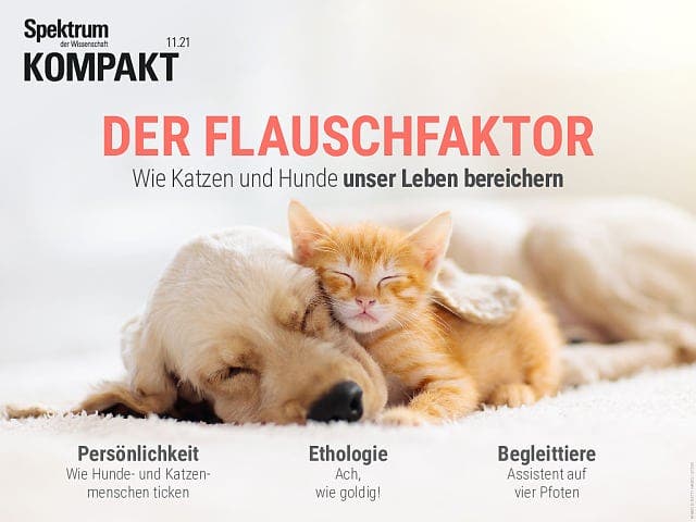  Der Flauschfaktor – Wie Katzen und Hunde unser Leben bereichern