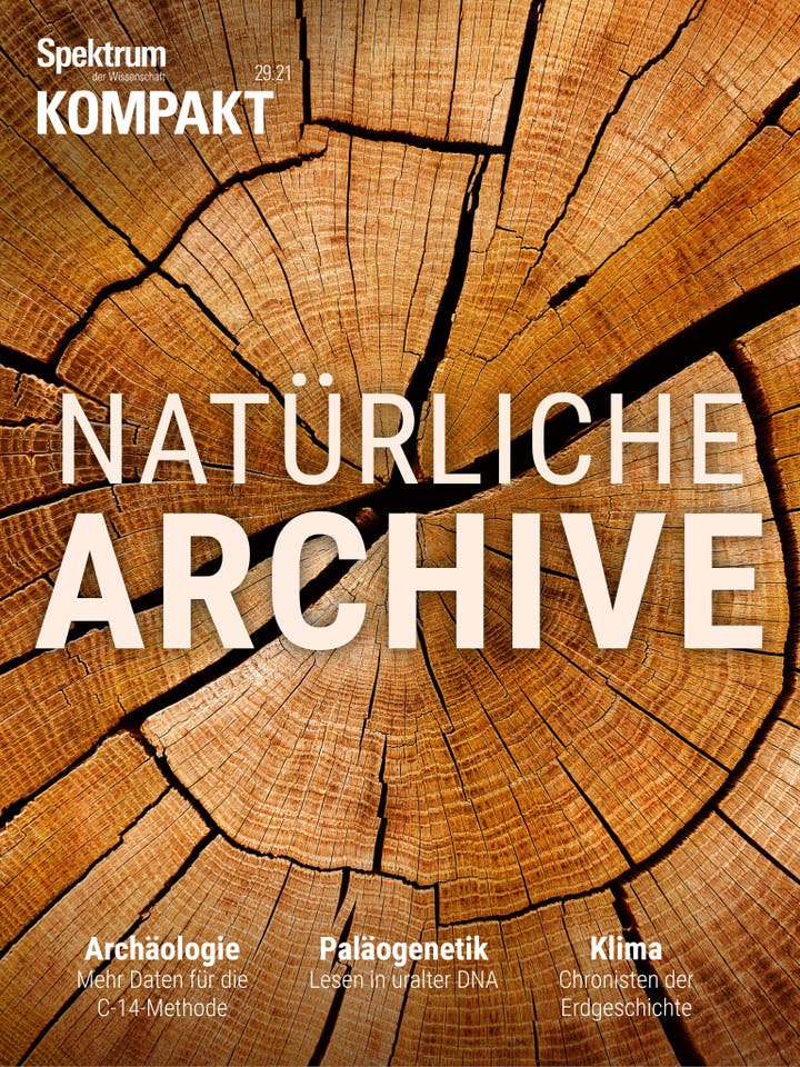 Spektrum Kompakt - 29/2021 - Natürliche Archive