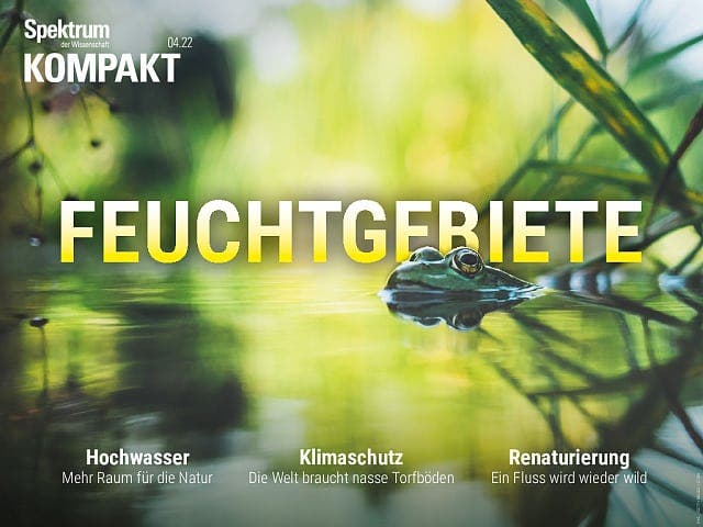  Feuchtgebiete