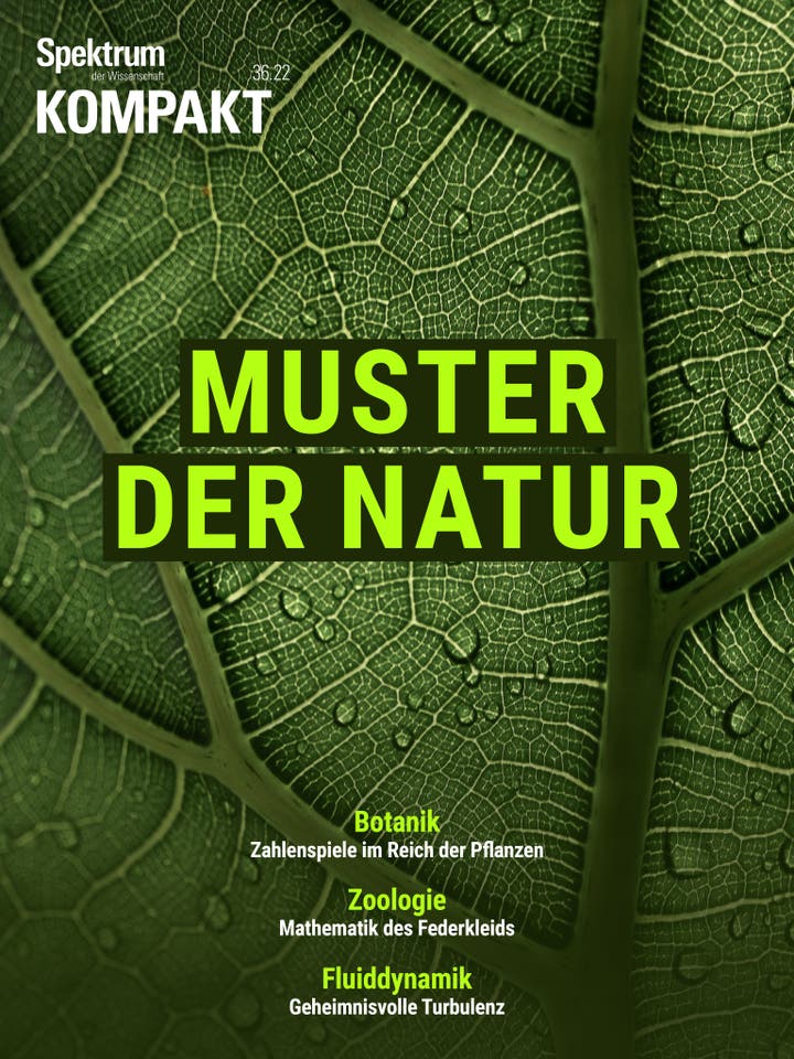Spektrum Kompakt - 36/2022 - Muster der Natur