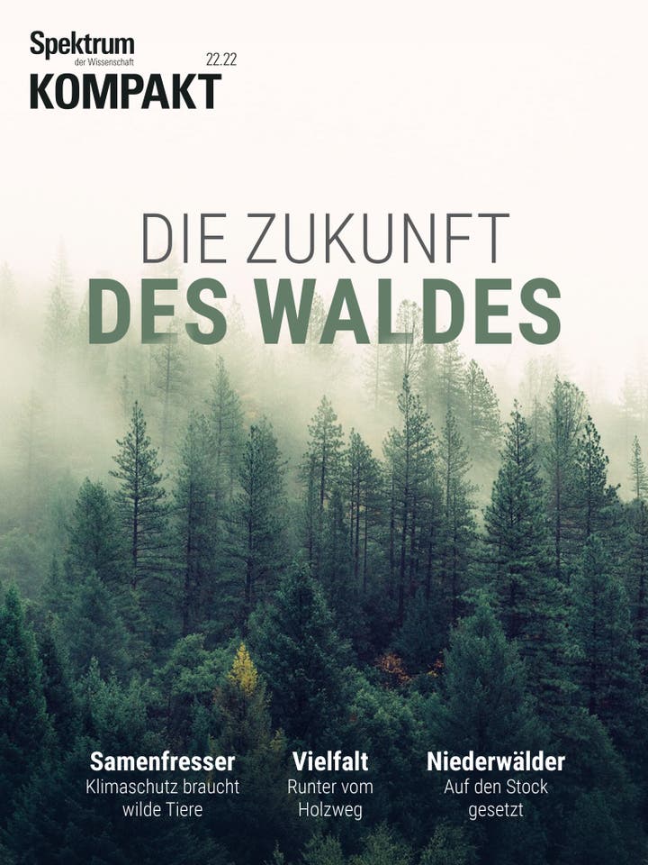 Spektrum Kompakt – 22/2022 – Die Zukunft des Waldes 