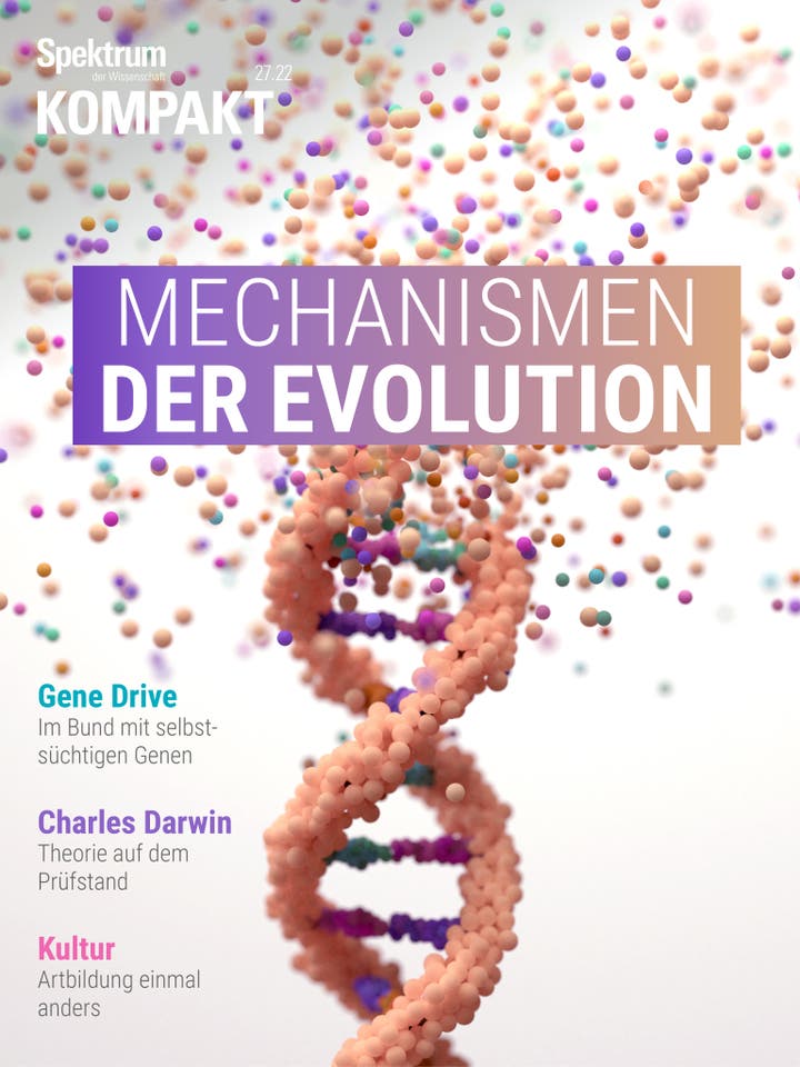 Spektrum Kompakt - 27/2022 - Mechanismen der Evolution