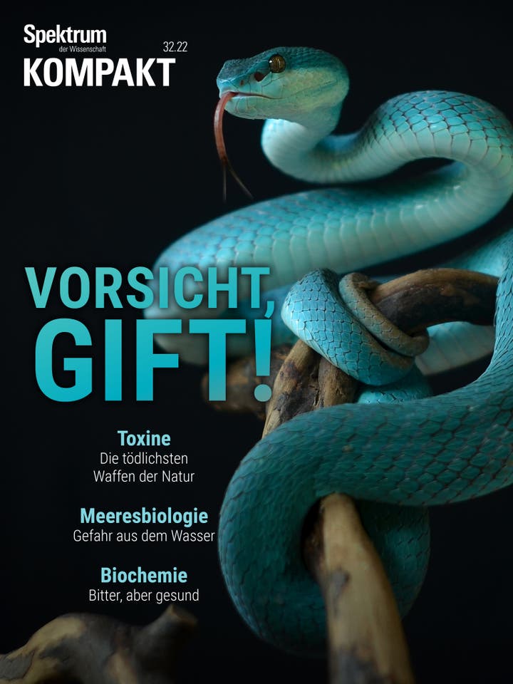 Spektrum Kompakt – 32/2022 – Vorsicht, Gift!