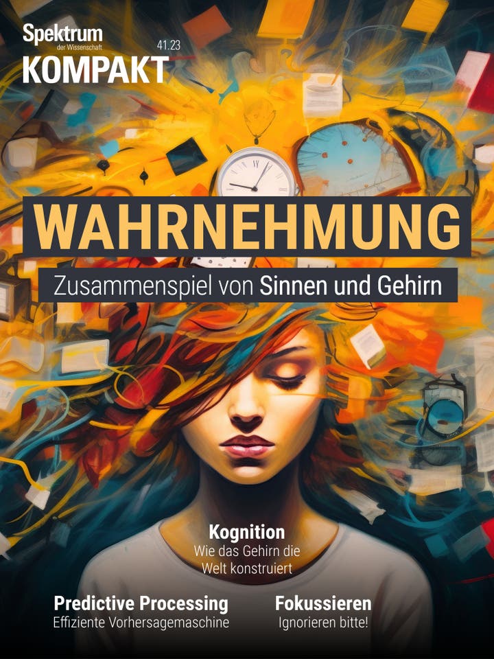 Spektrum Kompakt - 41/2023 - Wahrnehmung - Zusammenspiel von Sinnen und Gehirn