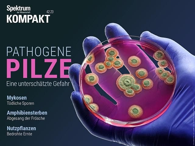  Pathogene Pilze – Eine unterschätzte Gefahr