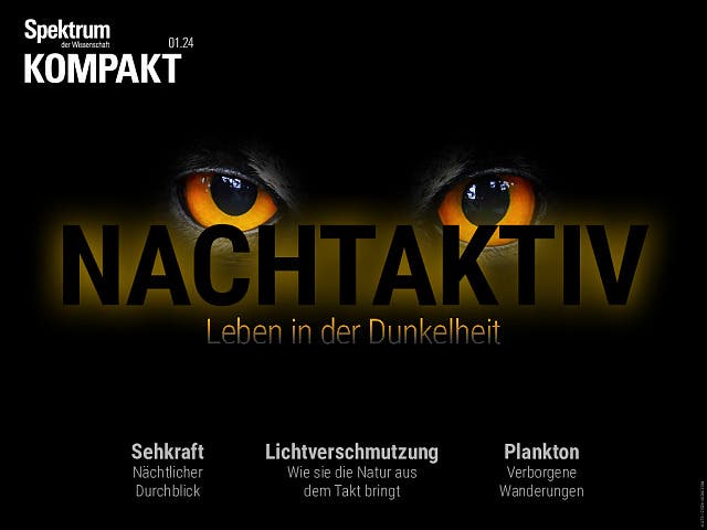  Nachtaktiv – Leben in der Dunkelheit