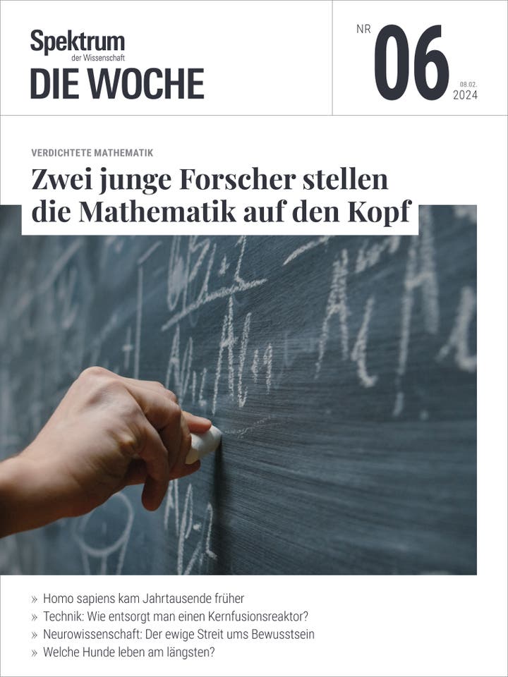 Spektrum - Die Woche - 6/2024 - Zwei junge Forscher stellen die Mathematik auf den Kopf