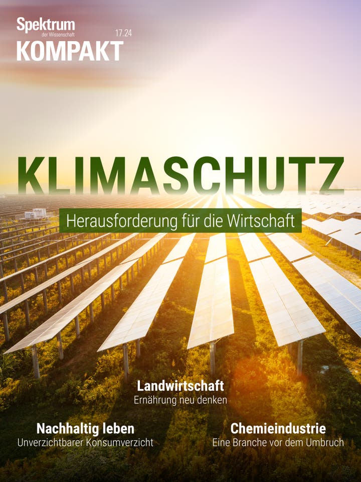Spektrum Kompakt – 17/2024 – Klimaschutz – Herausforderung für die Wirtschaft