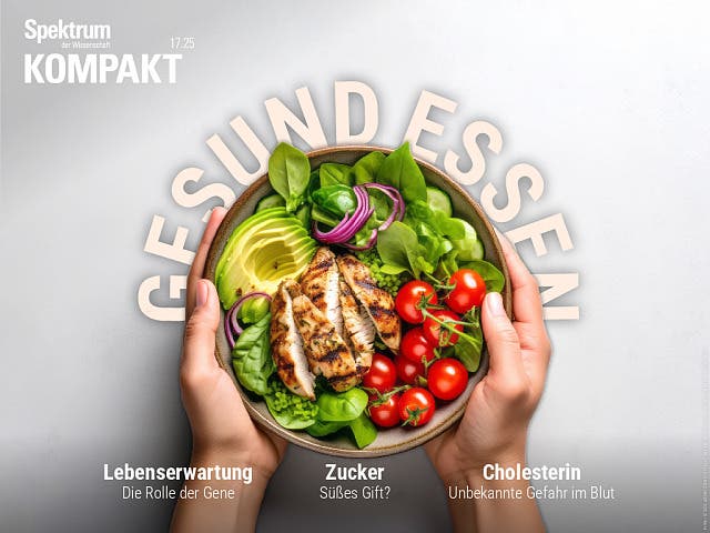  Gesund essen