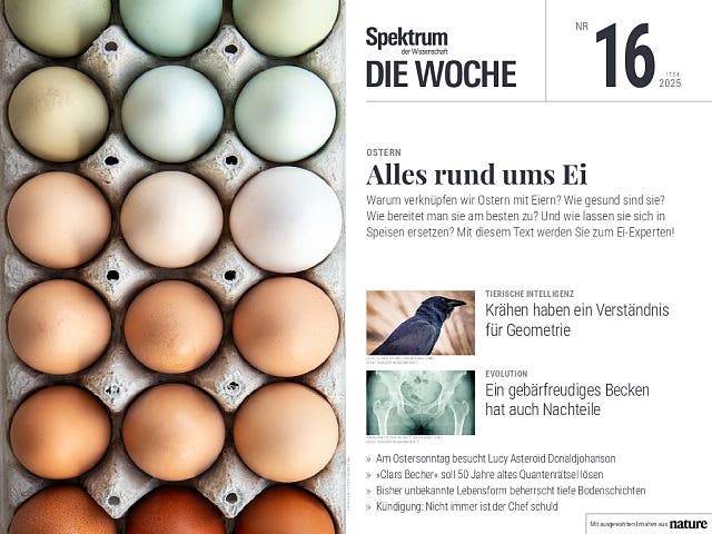  Alles rund ums Ei