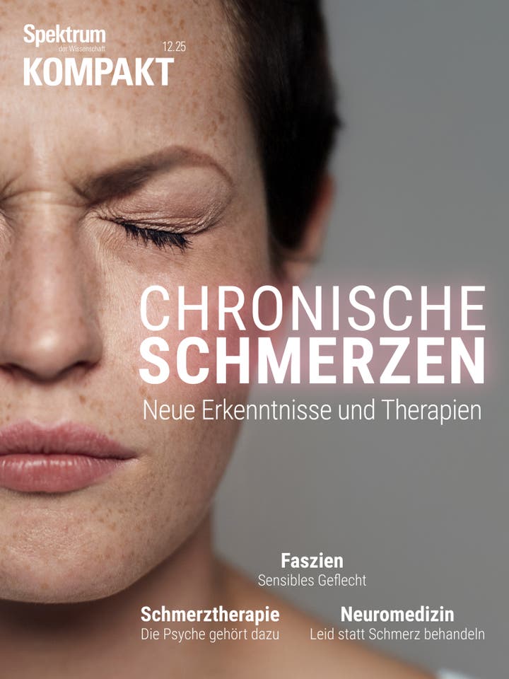 Spektrum Kompakt - 21/2025 - Chronische Schmerzen
